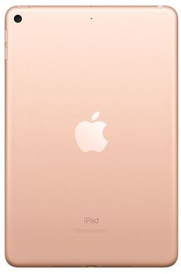 2019 Apple iPad mini 7,9″ (256Gb, Wi-Fi + сотовая связь, золотистый)— фото №2