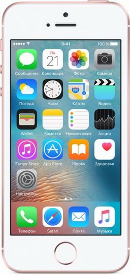 iPhone SE 16Gb, «Розовое золото»— фото №1