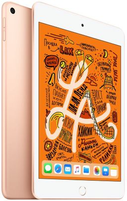 2019 Apple iPad mini 7,9″ (64Gb, Wi-Fi + сотовая связь, золотистый)— фото №1