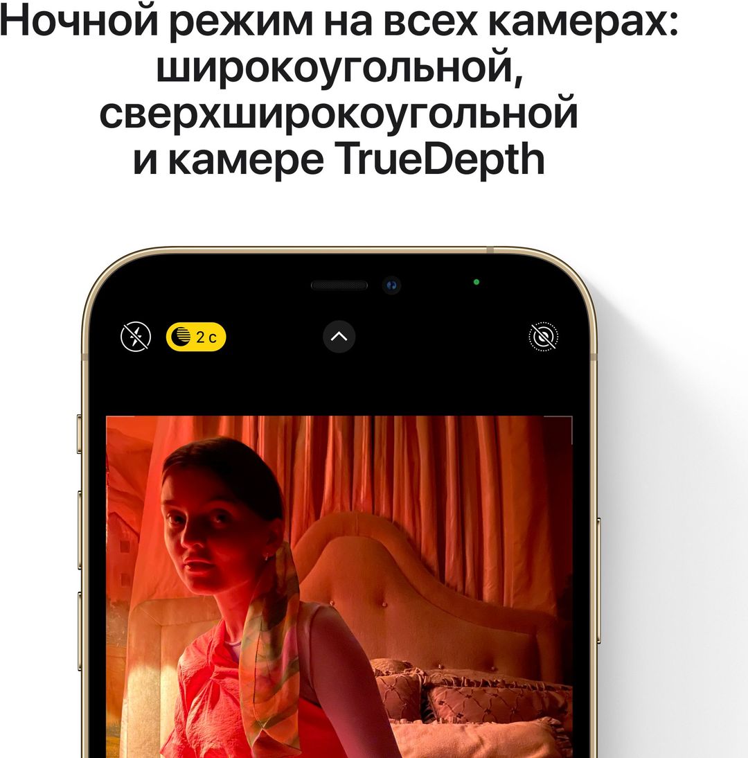 iPhone 12 Pro Max 256Gb, золотой— фото №5