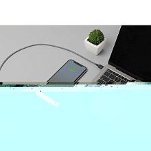 Кабель Native Union Belt Cable USB-C / Lightning 1,2м, зебра - 2